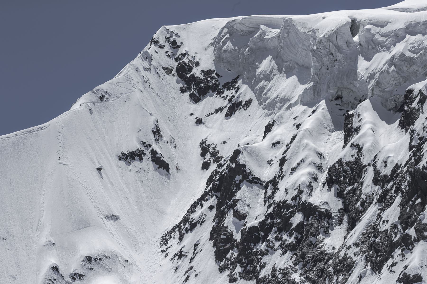 Going Higher: Pica in the Mighty Karakoram