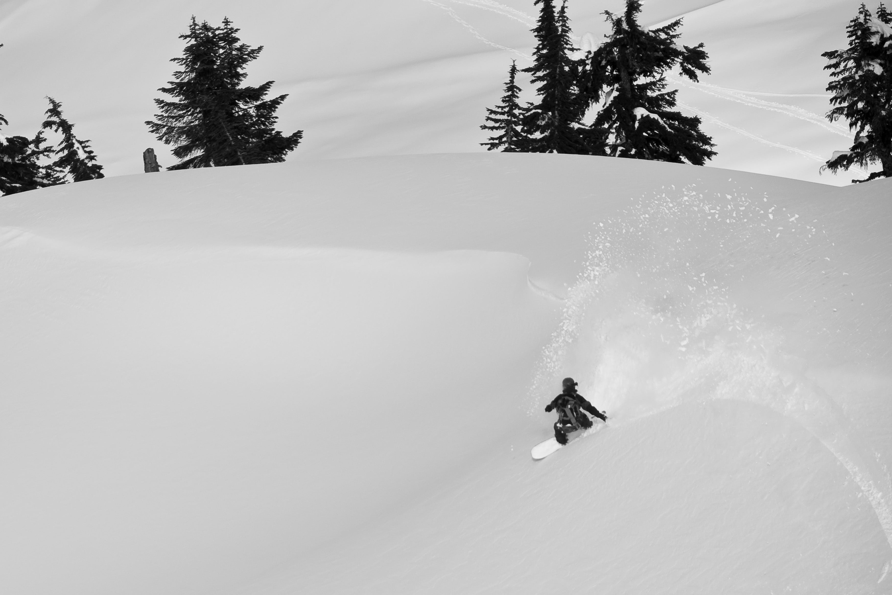 A snowboarder carving through deep powder snow on a mountain slope, with evergreen trees in the background and a spray of snow kicking up behind them.