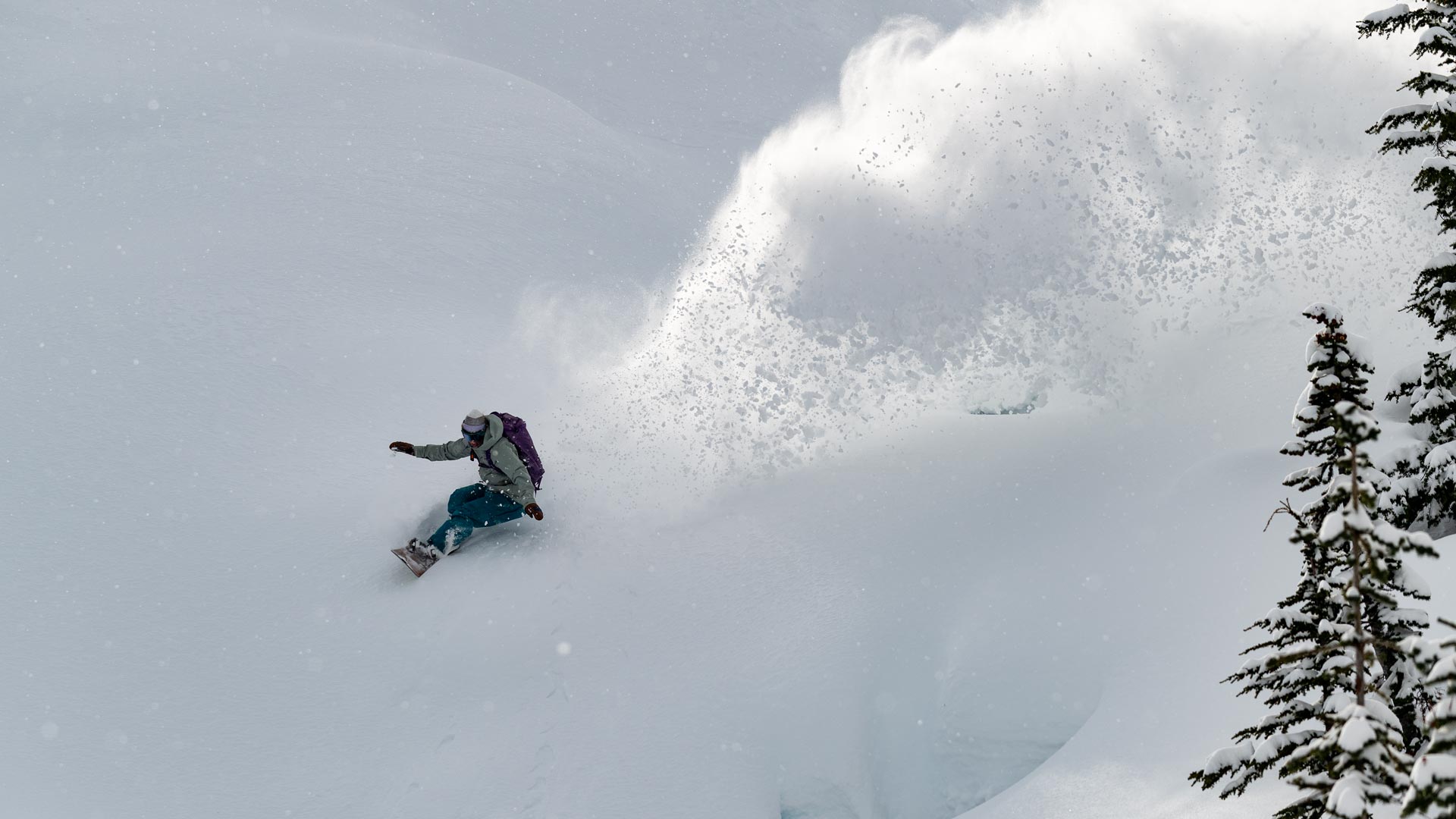 Snowboarder carves downhill spraying deep powder, purple backpack, snowy pine trees
