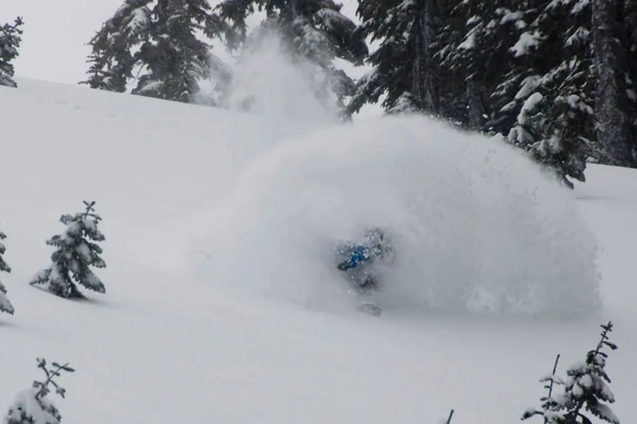 A snowboarder creates a large spray of powder on a snowy mountain slope, with evergreen trees in the background.